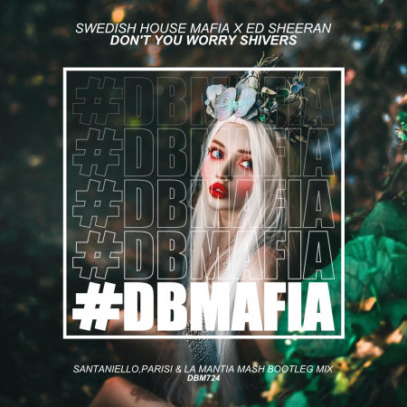 Swedish House Mafia x Ed Sheeran - Don't You Worry Shivers (Santaniello, Parisi & LaMantia Extended)