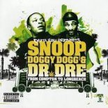 Dr. Dre ft. Snoop Dogg & Savin - The Next Episode (Alex Jet & Myers Radio Booty Mix) House Brazers
