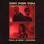 Faul & Wad x DHARIA - Cry For You (Extended Mix)