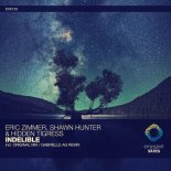 Eric Zimmer, Shawn Hunter & Hidden Tigress - Indelible (Extended Mix)