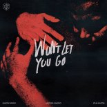 Martin Garrix x Matisse x Sadko feat. John Martin - Wont Let You Go