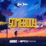 Sara James - Somebody (Ciemny & Hopely Bootleg)