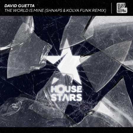 David Guetta - The World Is Mine (Shnaps & Kolya Funk Remix) [Radio Edit]