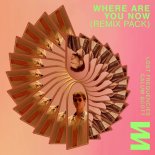Lost Frequencies feat. Calum Scott - Where Are You Now (Kungs Remix)