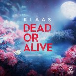 Klaas - Dead Or Alive