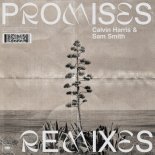 Calvin Harris - Promises (Sonny Fodera Disco Mix)