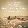 Shawn Mendes feat. Tainy - Summer Of Love (Andrey Rain Remix)