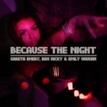 Gareth Emery x Ben Nicky & Emily Vaughn - Because The Night