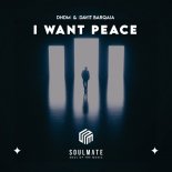 Davit Barqaia & DNDM - I Want Peace