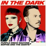 Purple Disco Machine feat. Sophie And The Giants - In The Dark