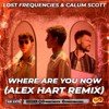 Lost Frequencies & Calum Scott - Where Are You Now (Alex Hart Remix)