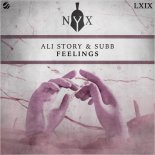 Subb, Ali Story - Feelings (Extended Mix)