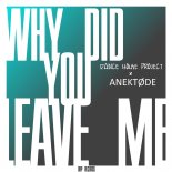 Dance House Project, ANEKTØDE - Why Did You Leave Me (Radio Edit)