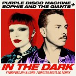 PURPLE DISCO MACHINE + SOPHIE AND THE GIANTS - IN THE DARK (FABIOPDEEJAY & LUKA  MASTER REMIX)