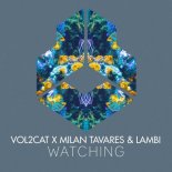 Vol2Cat x Milan Tavares & Lambi - Watching (Extended Mix)