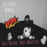 Alis Shuka - Not About Us (Ice Split Radio Edit)