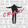 Fly & Sasha Fashion - Crazy (Original Mix)