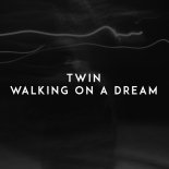 Twin - Walking On A Dream