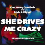 Fine Young Cannibals vs. Diplo & Miguel - She Drives Me Crazy (Ash Alexander Bootleg)