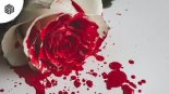 Nulteex - In My Blood