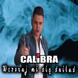 Calibra - Wczoraj Mi Się Śniłaś (FAIR PLAY Remix)