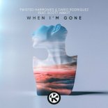 Twisted Harmonies & Dario Rodriguez feat. Scott Abbot - When I'm Gone