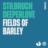 Stilbruch & Deeperlove - Fields Of Barley (David Hansen Remix)