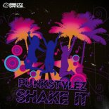 Punkstylez - Shake It (Radio Mix)