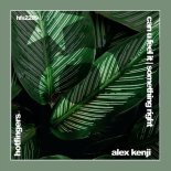 Alex Kenji - Something Right (Extended Mix)