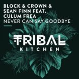 Block & Crown x Sean Finn feat. Culum Frea - Never Can Say Goodbye (Nu Disco Mix