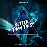 Raccoon Killer - Better Than This ( Orginal Mix)