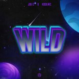 Joe C & Koolnic - Wild (Extended Mix)