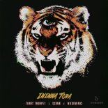 Timmy Trumpet x KSHMR x Mildenhaus - Ininna Tora (Extended Mix)