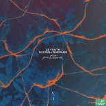 Le Youth x Sultan + Shepard feat. Emily Falvey - Pattern (Extended Mix)