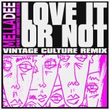 Mella Dee Feat. Infinite Coles - Love It or Not (Vintage Culture Remix)