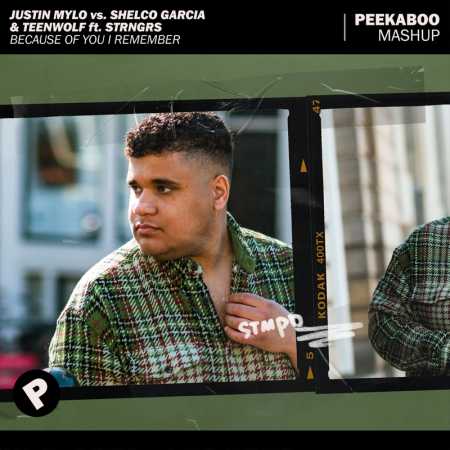 Justin Mylo vs. Shelco Garcia & Teenwolf ft. STRNGRS - Because Of You I Remember (Peekaboo Mashup)