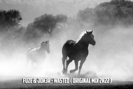 Fuze & Jok3r - Wasted ( Original Mix 2k22 )