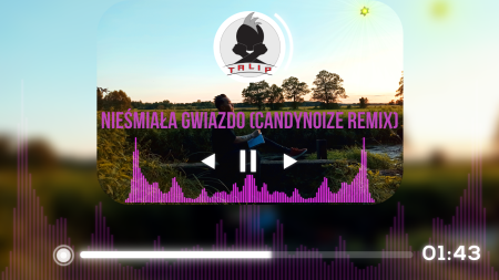 TALIP - NIEŚMIAŁA GWIAZDO (CANDYNOIZE REMIX)
