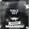 Tony Igy - Astronomia (Mamoru Remix)