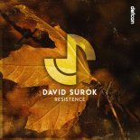 David Surok - Resistence (Extended Mix)