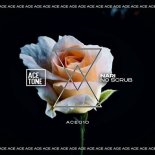 Nari - No Scrub (Original Mix)