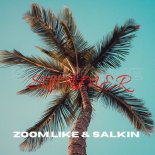Zoom.Like - Spend The Summer (Original Mix)