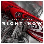 Joey Ayden - Right Now