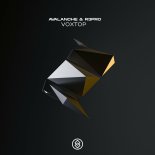 Avalanche - VoxTop (Extended Mix)