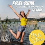 Meli Stein - Frei Sein (DJ Restlezz vs. Chris Diver Remix Extended)