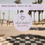 Nando Fortunato - I Really Like You (Original Mix)