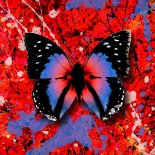 Ed Sheeran - 2step (Star.One Remix)