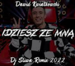 Dawid Kwiatkowski - Idziesz ze mną (DJ Śliwa Remix 2022)