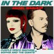 Purple Disco Machine, Sophie and the Giant & Jove - In the dark (ANG3L MASHUP)