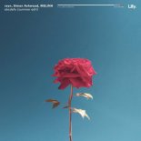 Rayn, Simon Ashwood & Melina - abcdefu (summer edit)